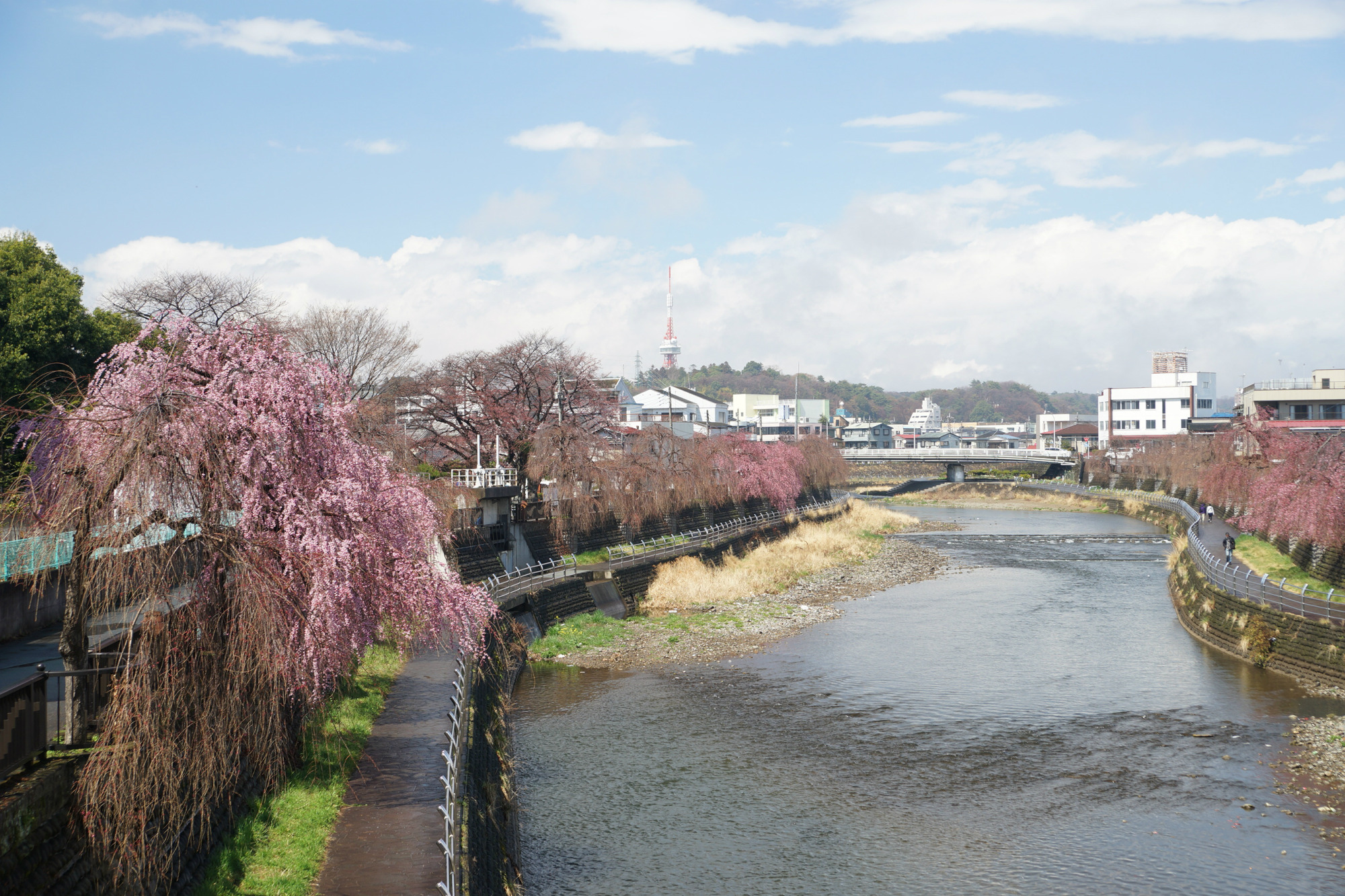 2019年3月31日(日)