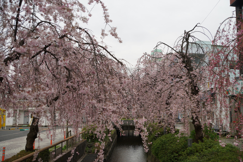 2019年3月31日（日）