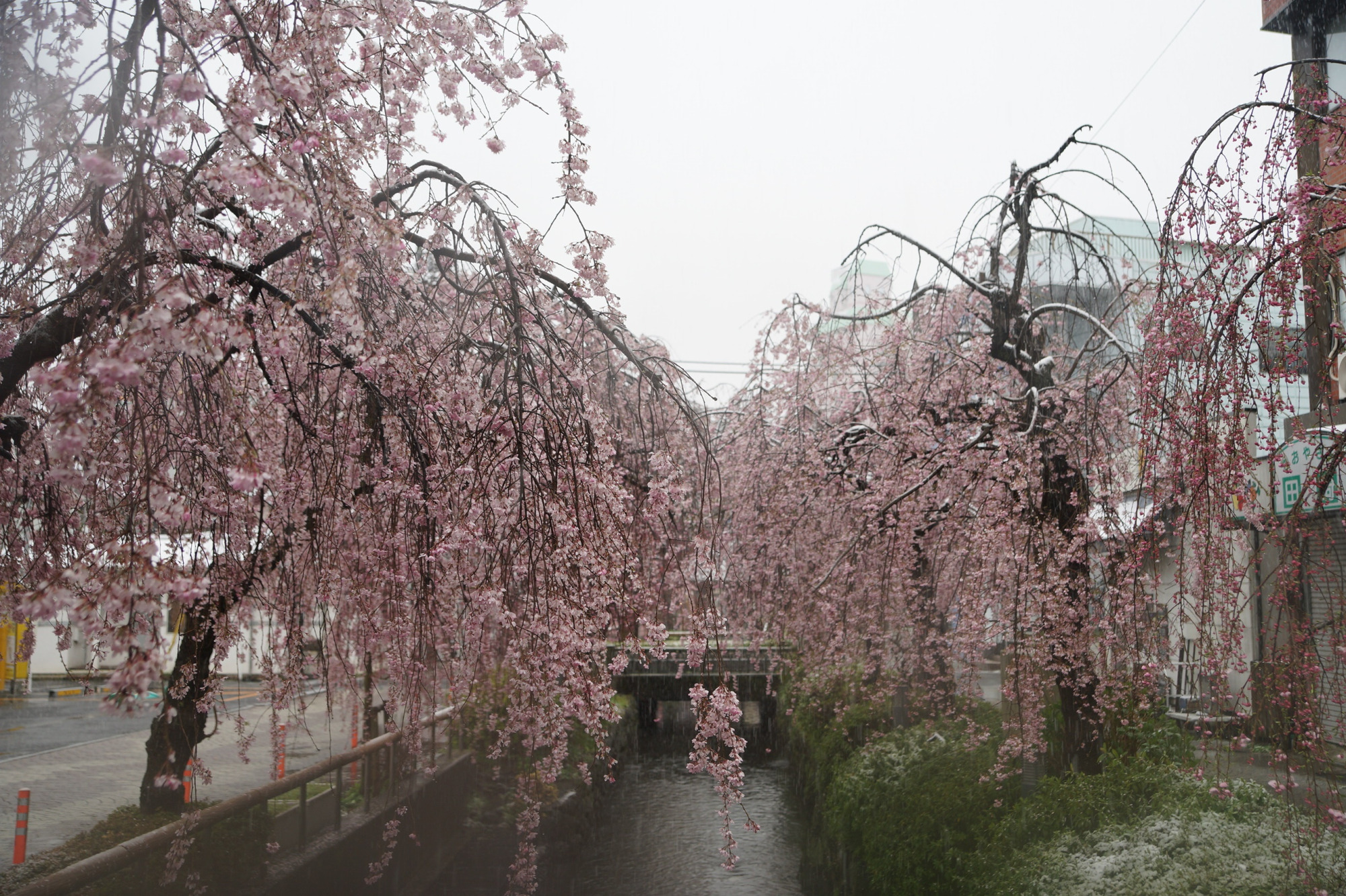 2019年3月29日(金)