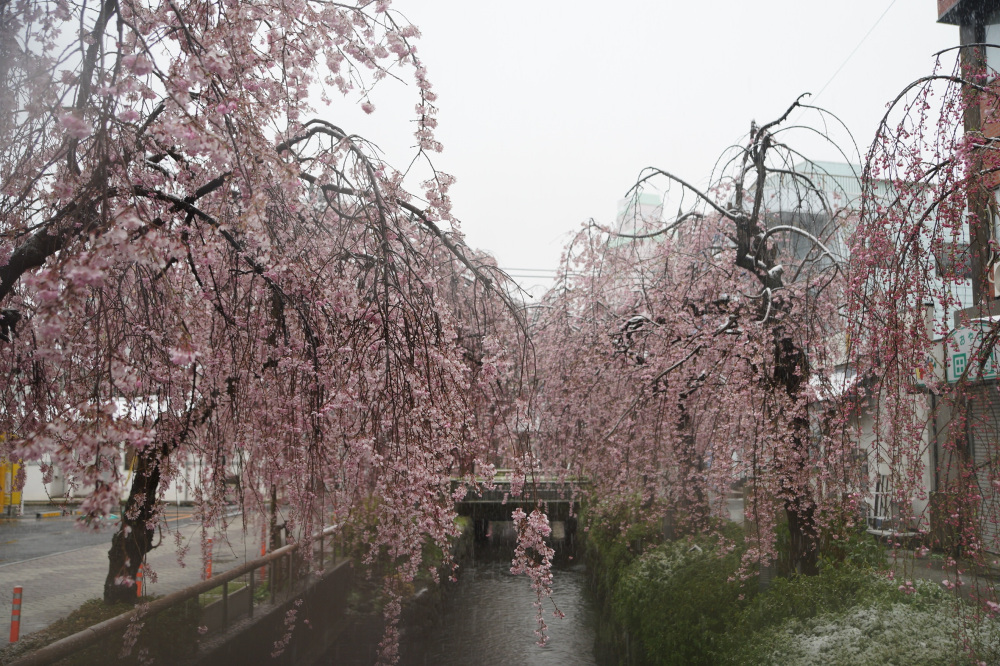 2019年3月29日（金）