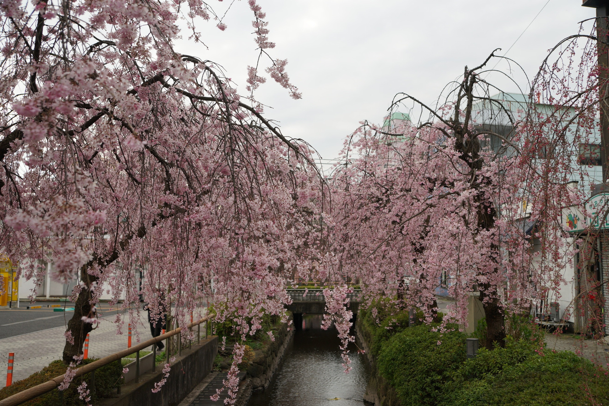 2019年3月27日(水)