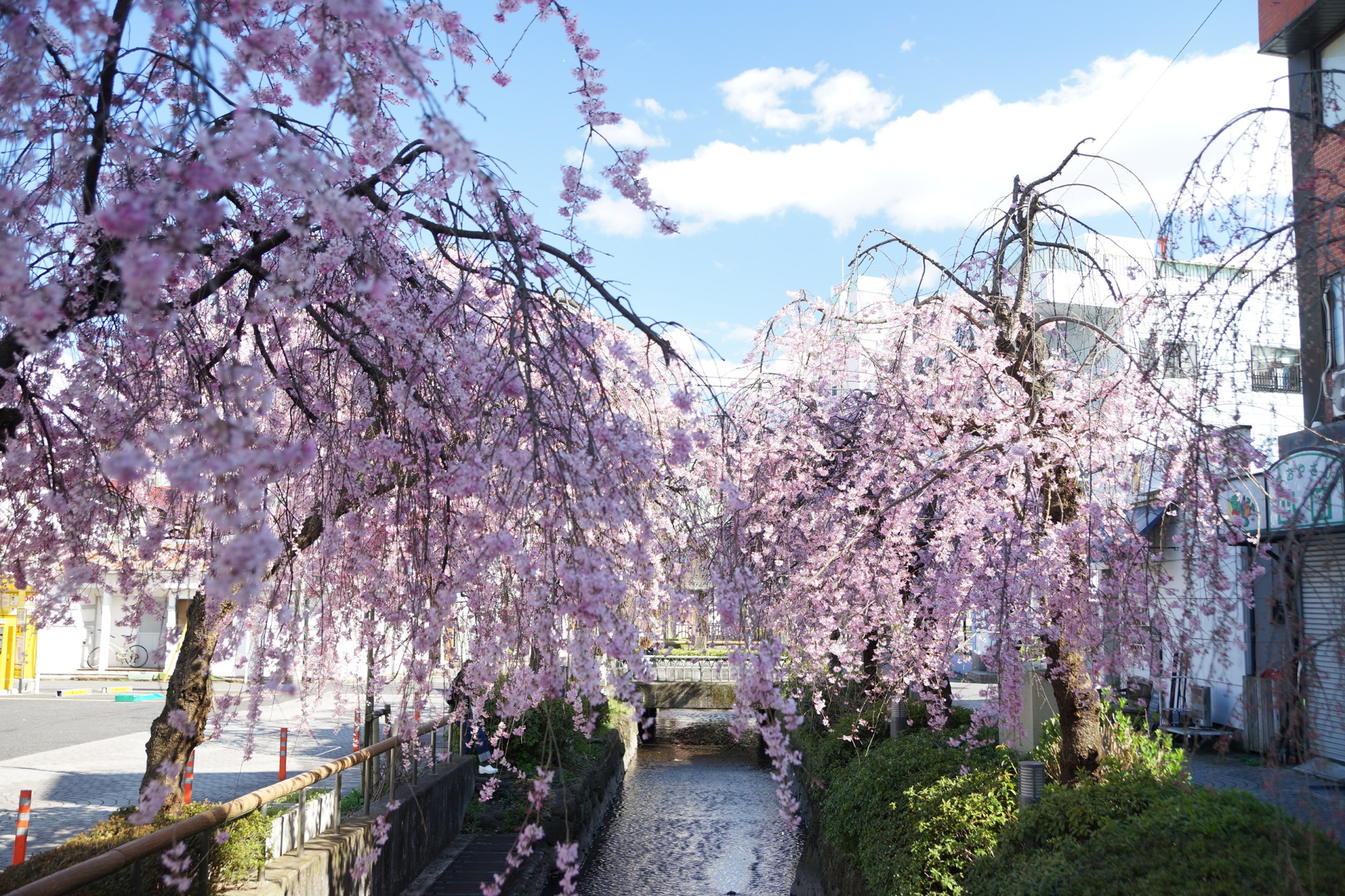 2019年3月24日(日)
