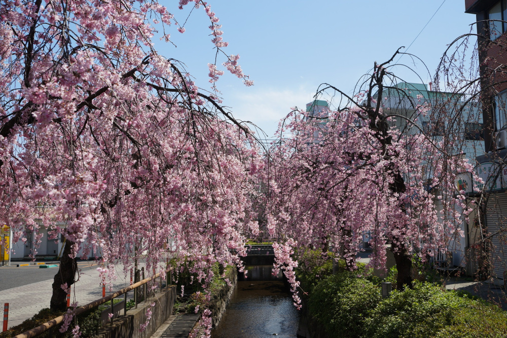 2019年3月23日（土）