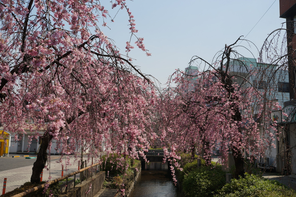 2019年3月21日（木）