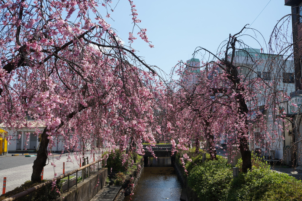 2019年3月20日（水）