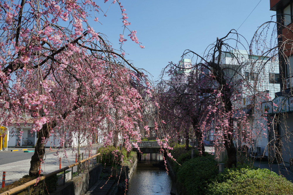 2019年3月19日（火）