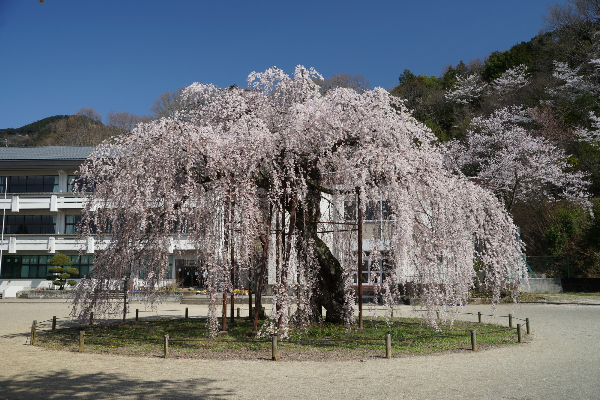 2019年4月3日(水)