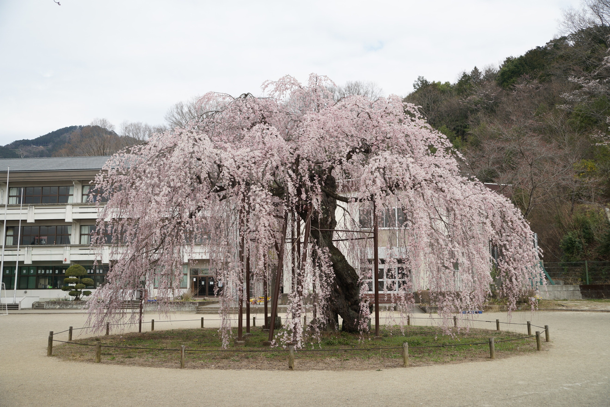 2019年3月27日(水)
