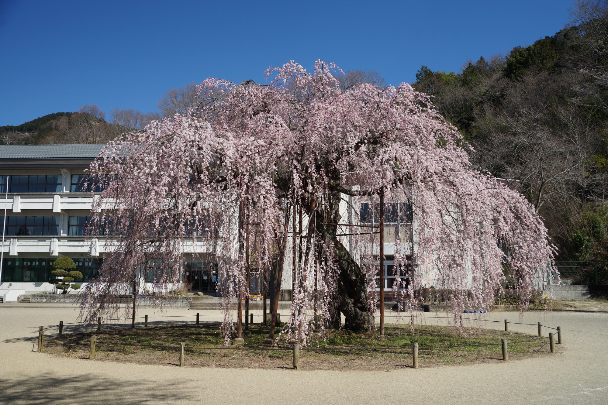 2019年3月25日(月)