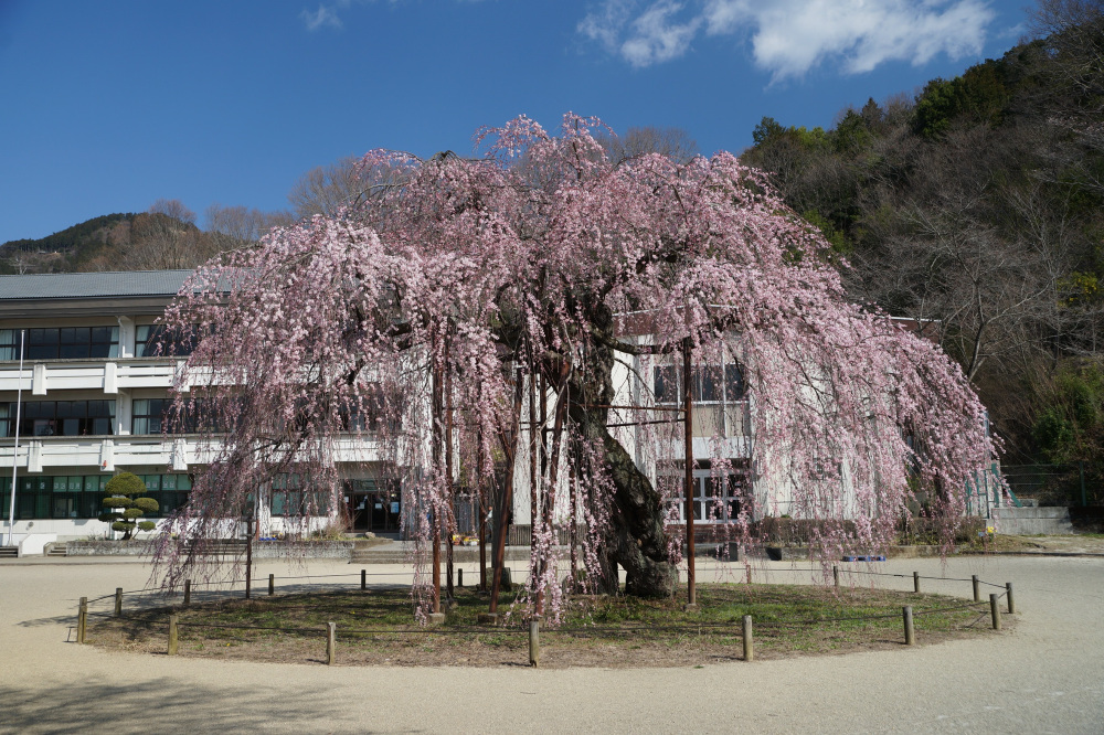 2019年3月23日（土）