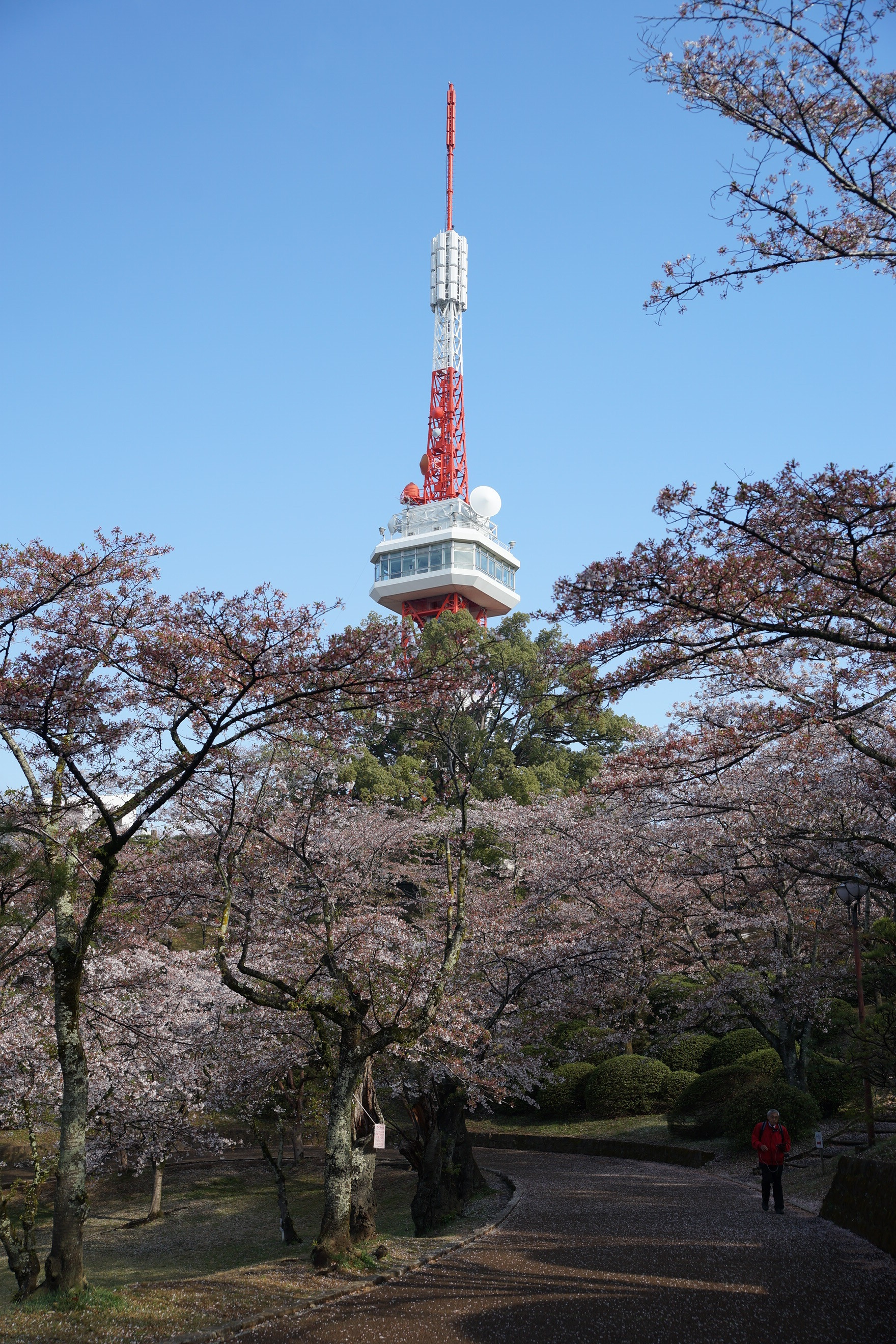 2019年4月10日(水)