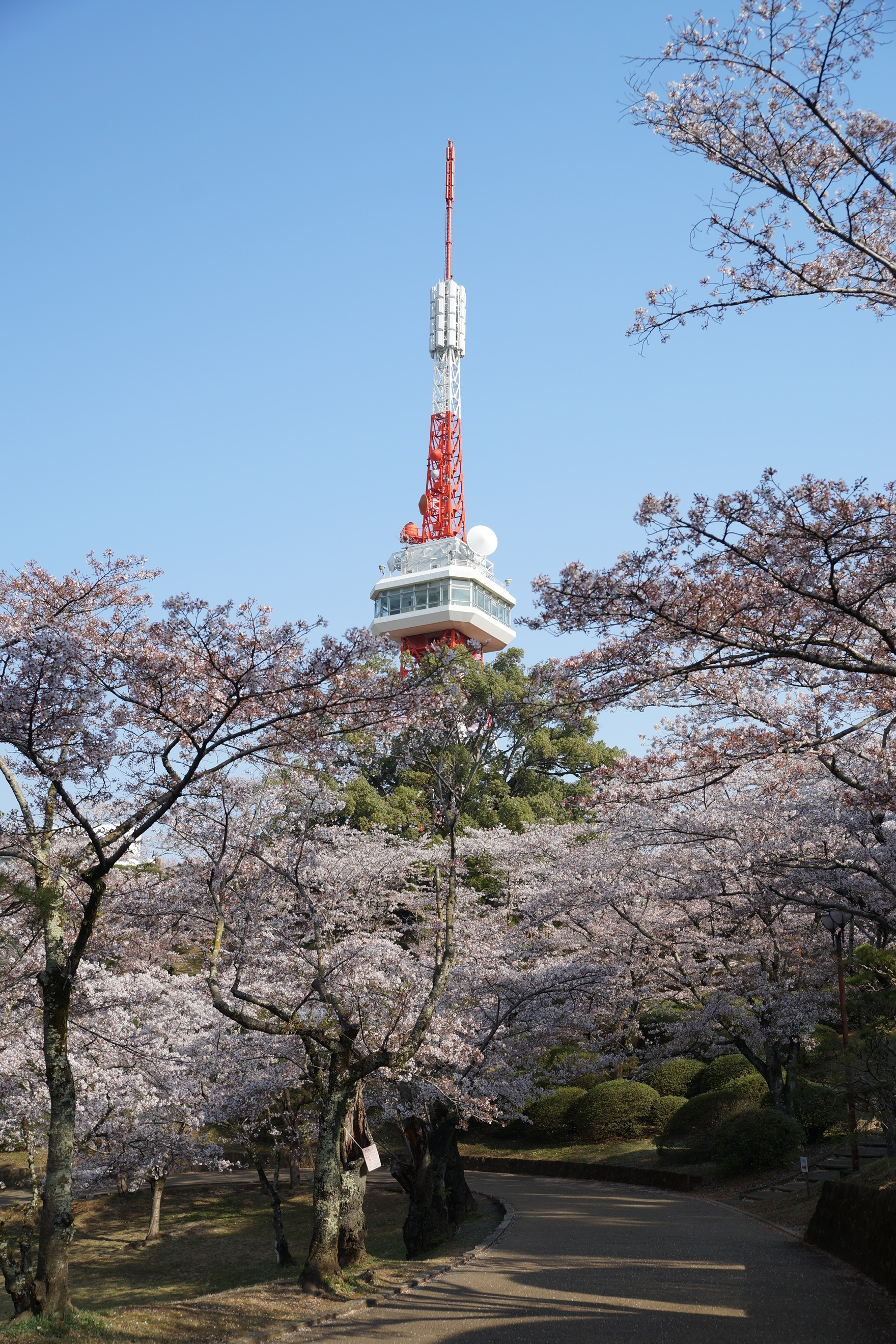 2019年4月8日(月)