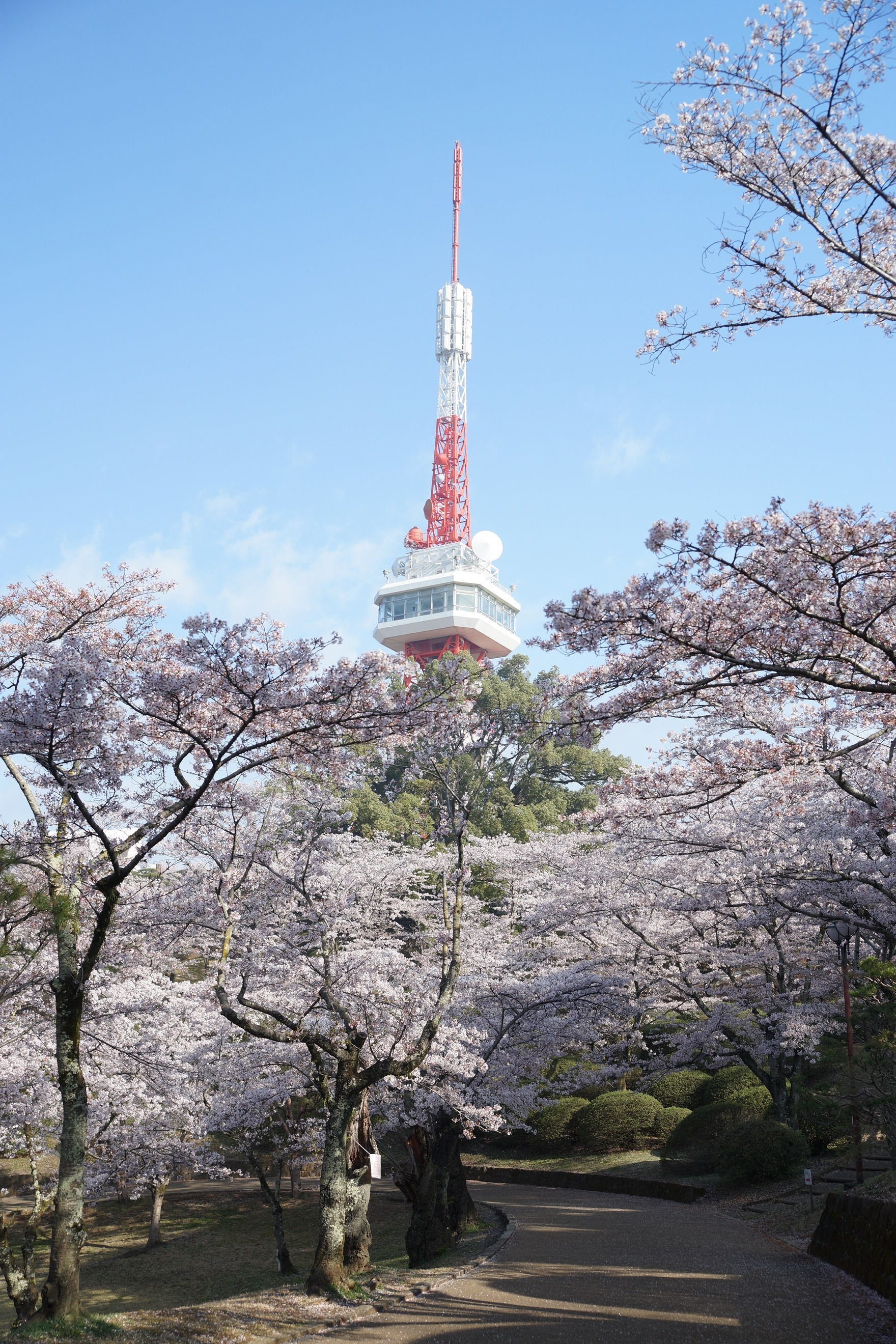 2019年4月6日(土)