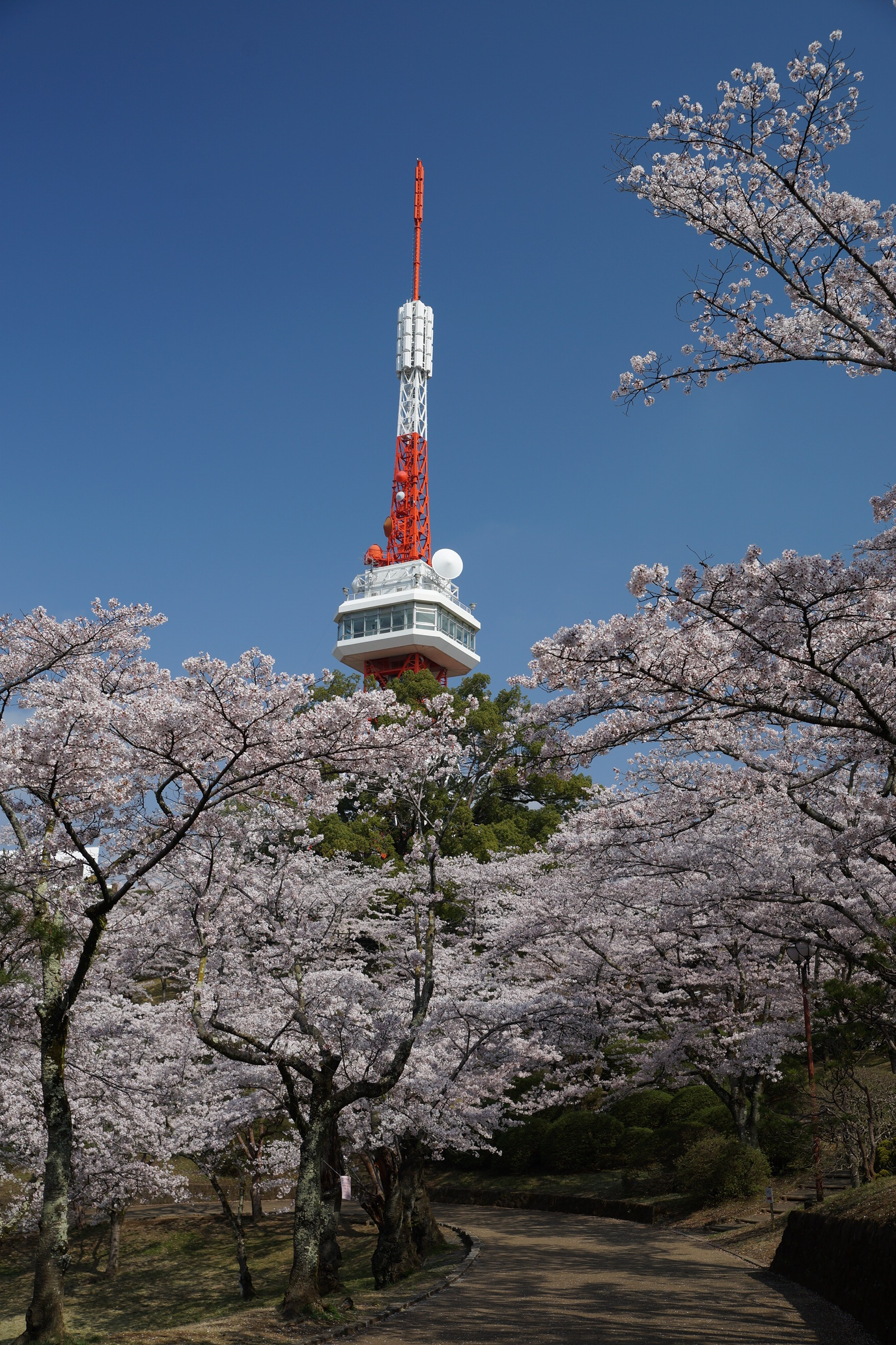 2019年4月4日(木)