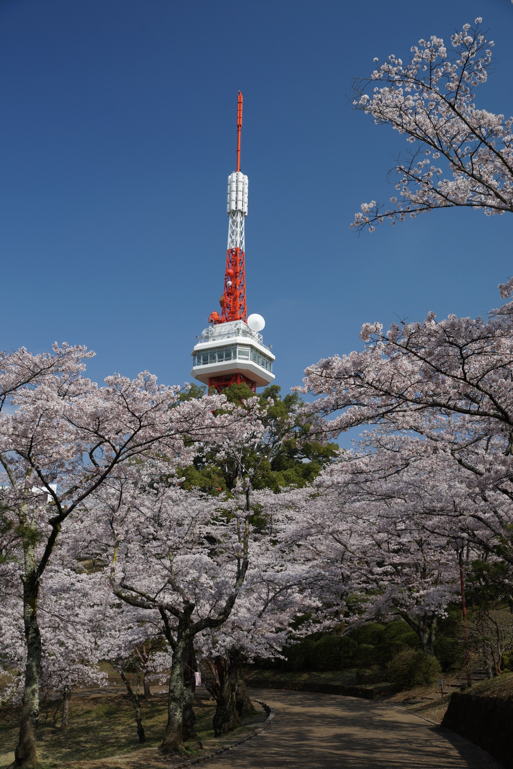 2019年4月4日（木）