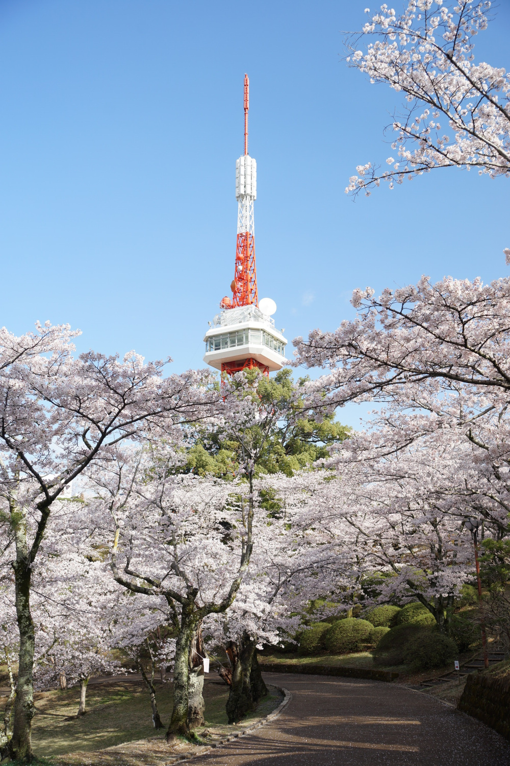 2019年4月2日（火）