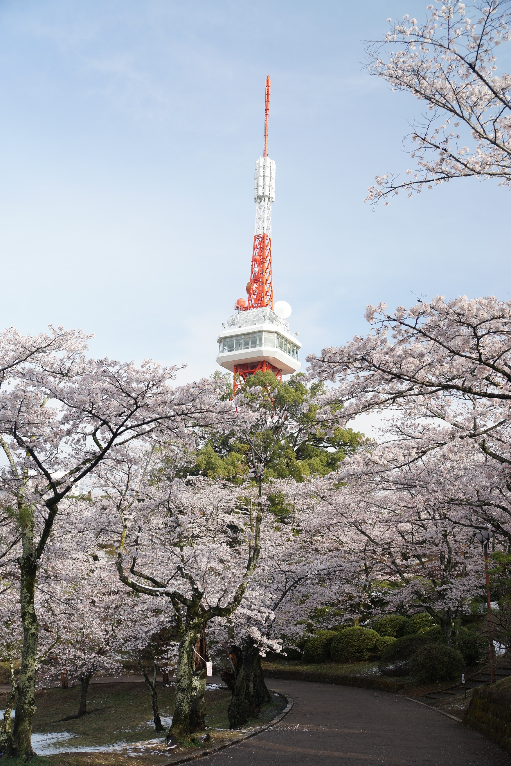 2019年3月30日(土)