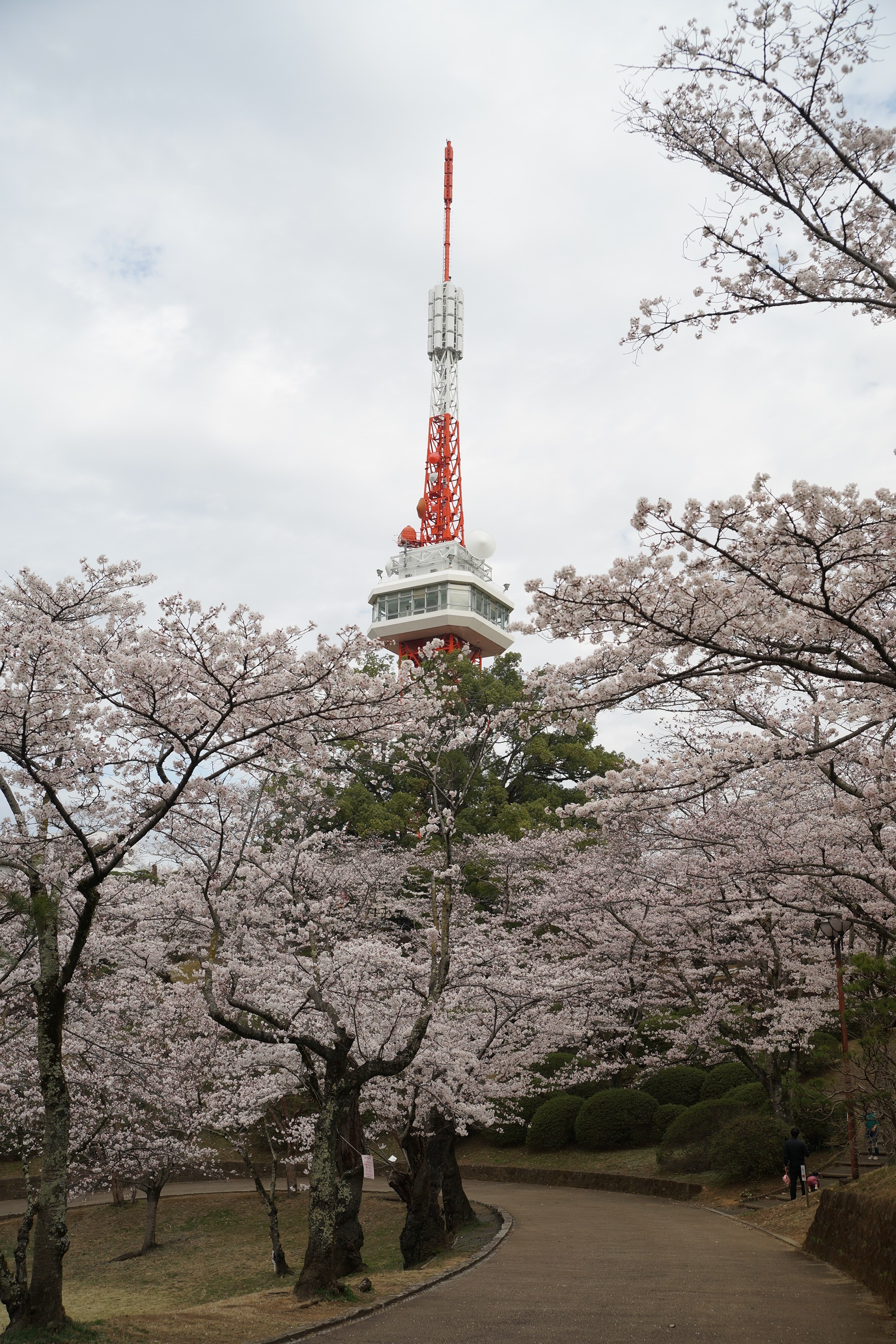 2019年3月28日(木)