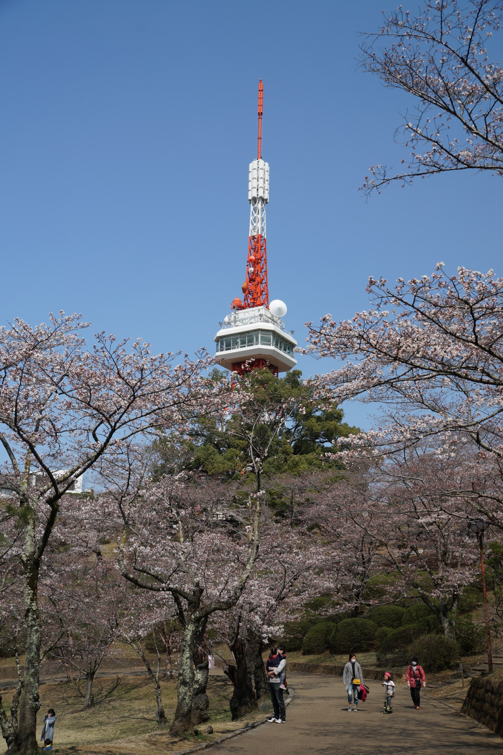 2019年3月26日（火）