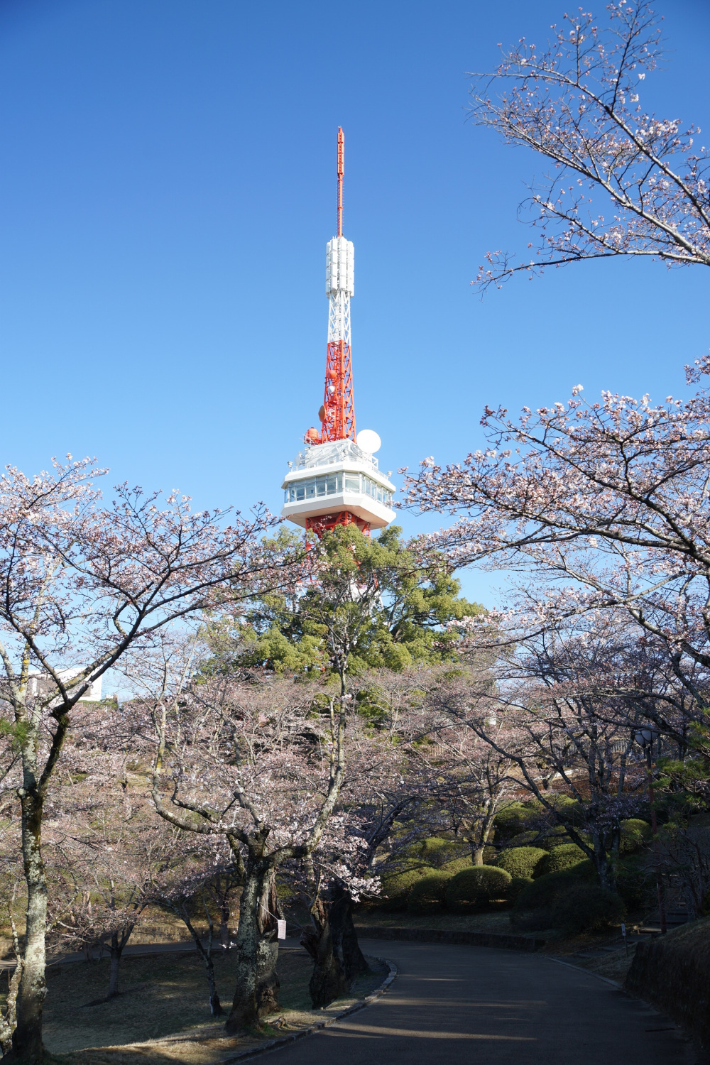 2019年3月25日（月）
