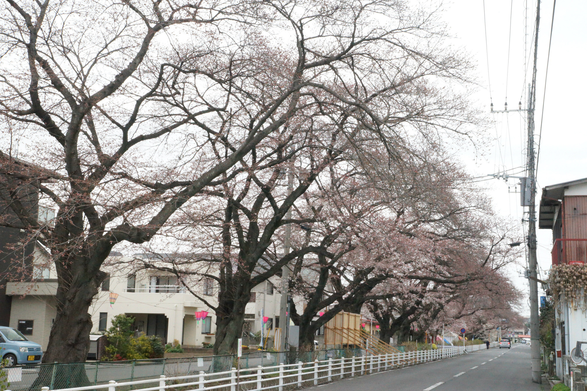 2019年3月29日(金)