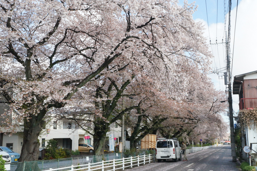 2019年4月15日（月）