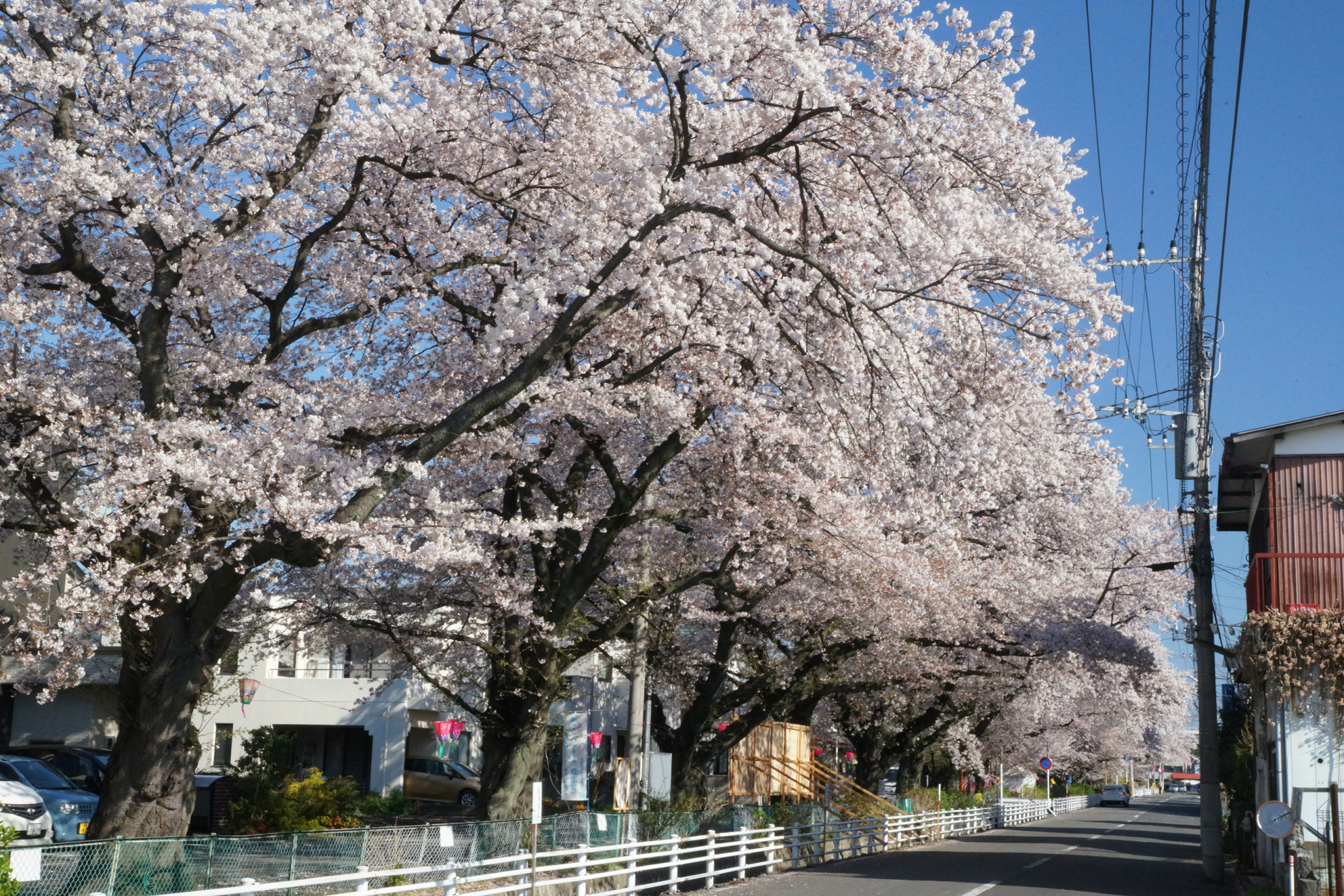 2019年4月13日(土)