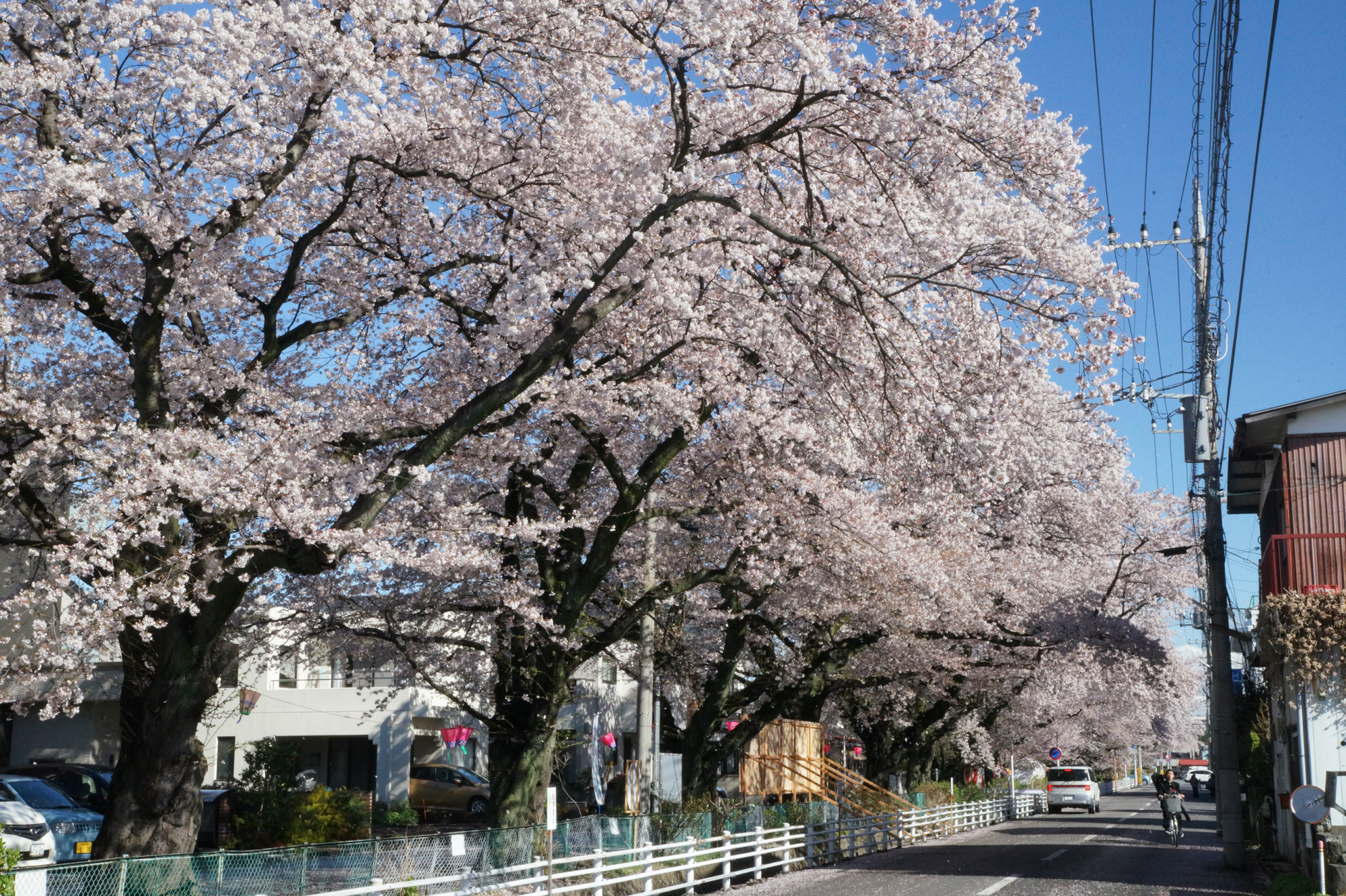 2019年4月11日(木)