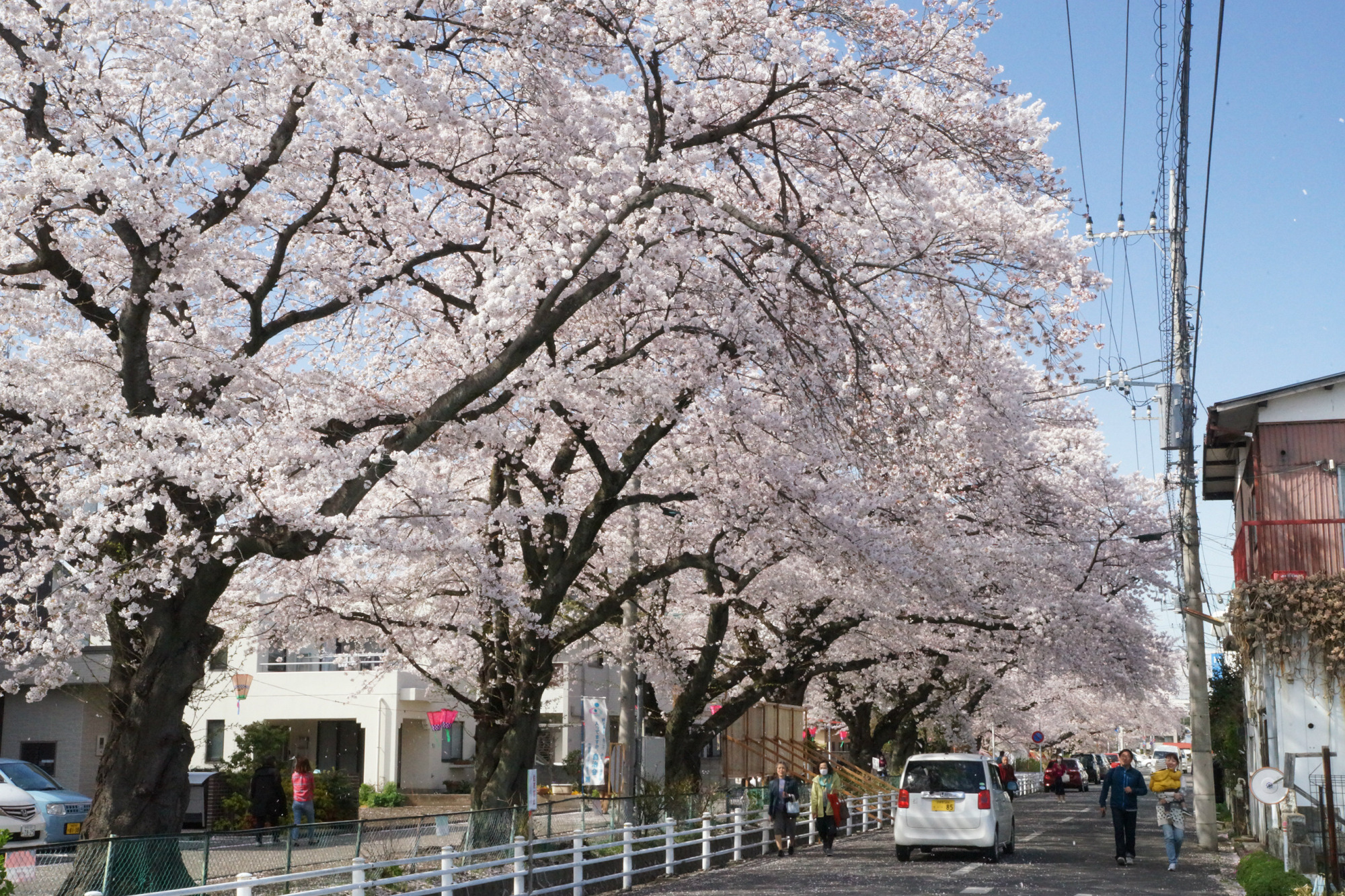 2019年4月9日(火)