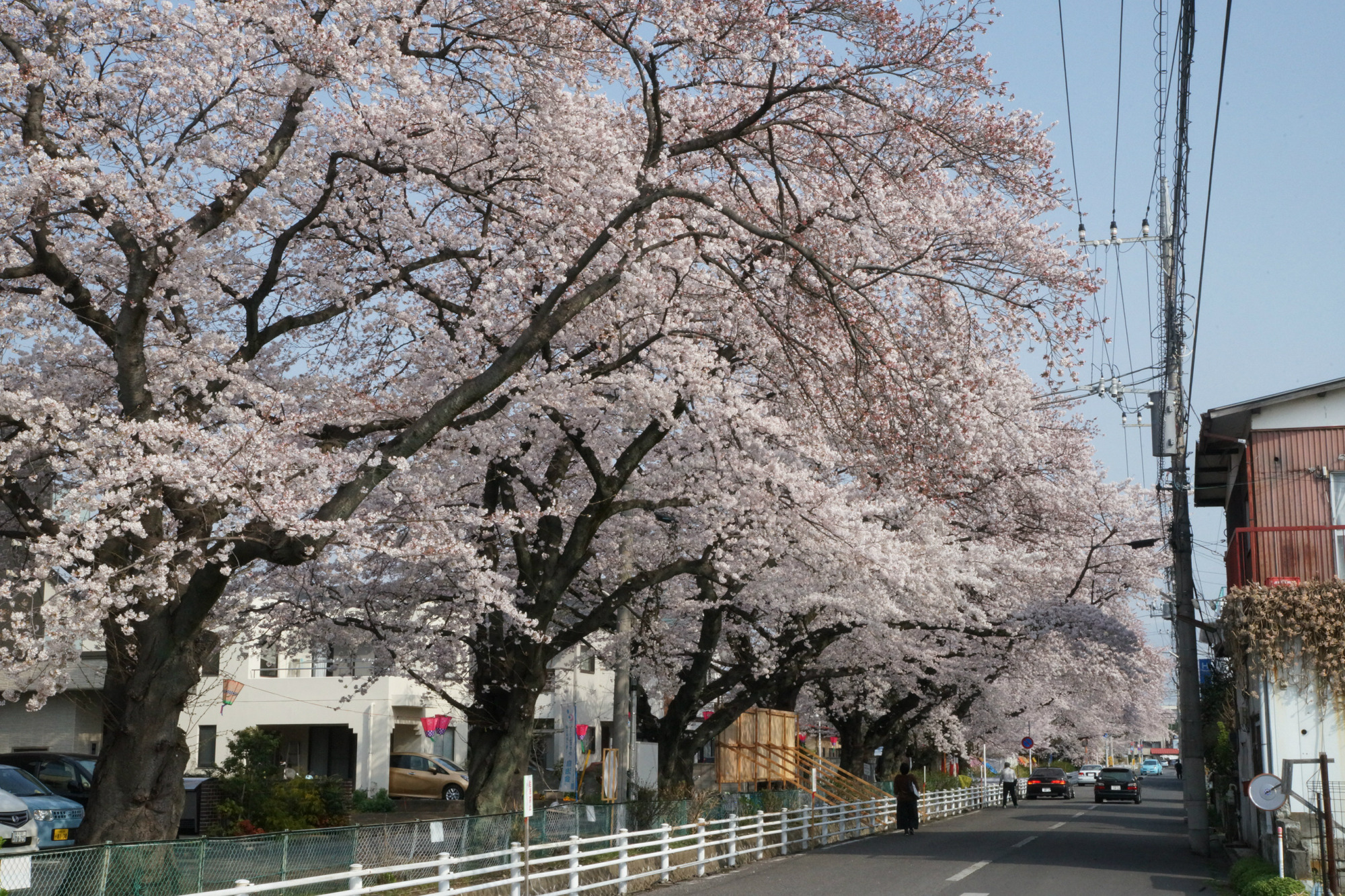 2019年4月7日(日)