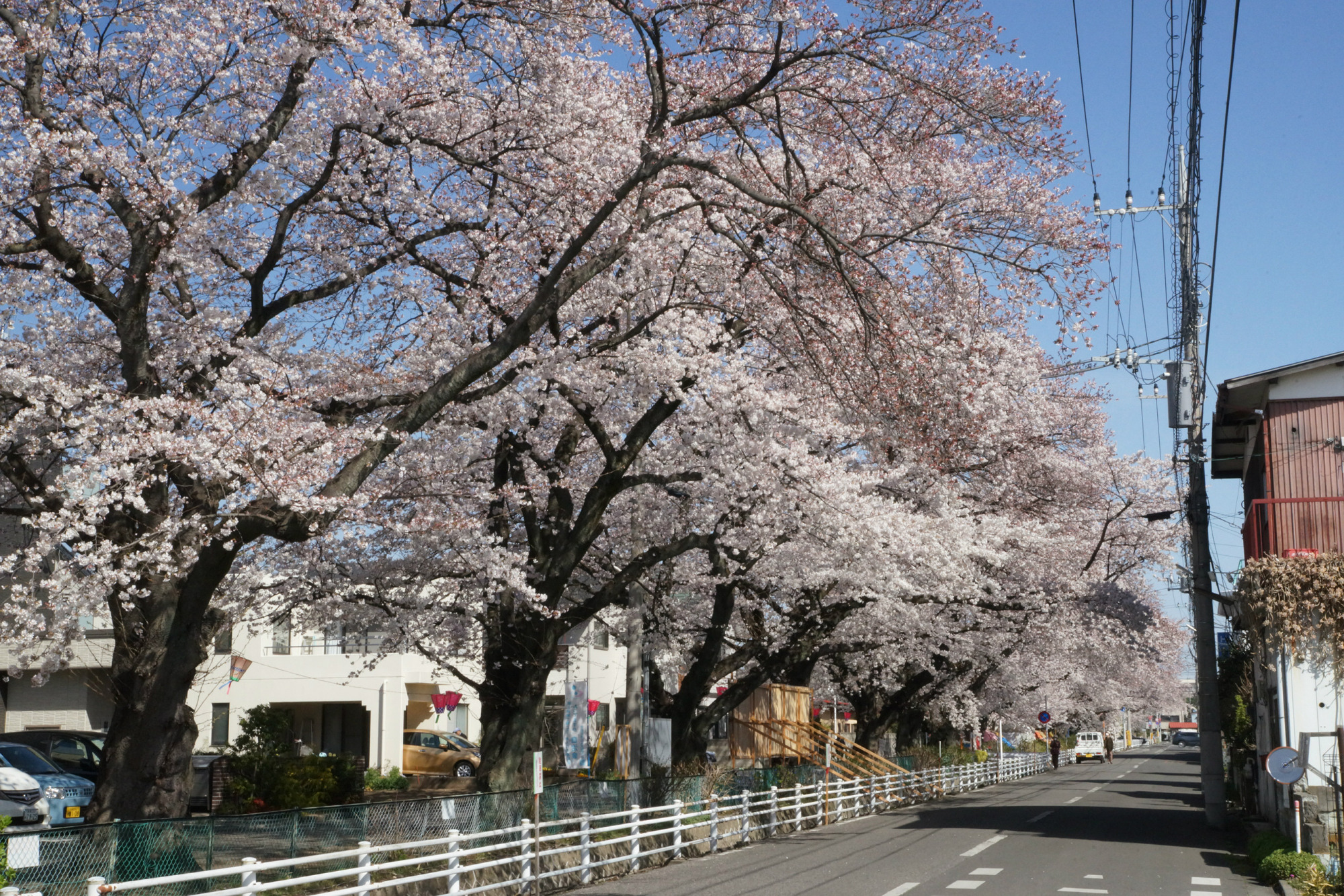 2019年4月6日(土)