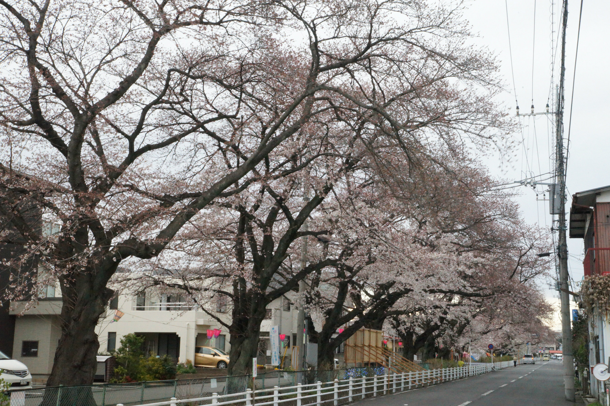2019年4月1日(月)