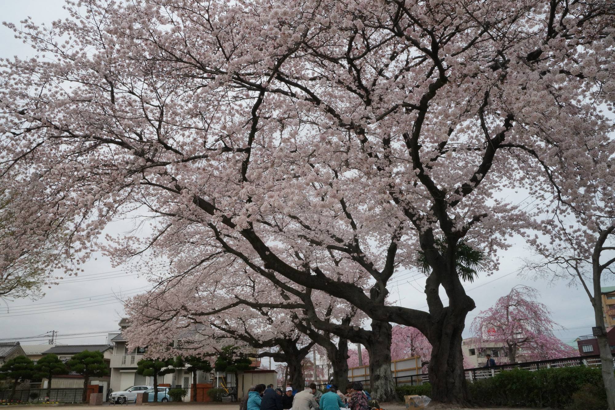 2019年4月8日(月)