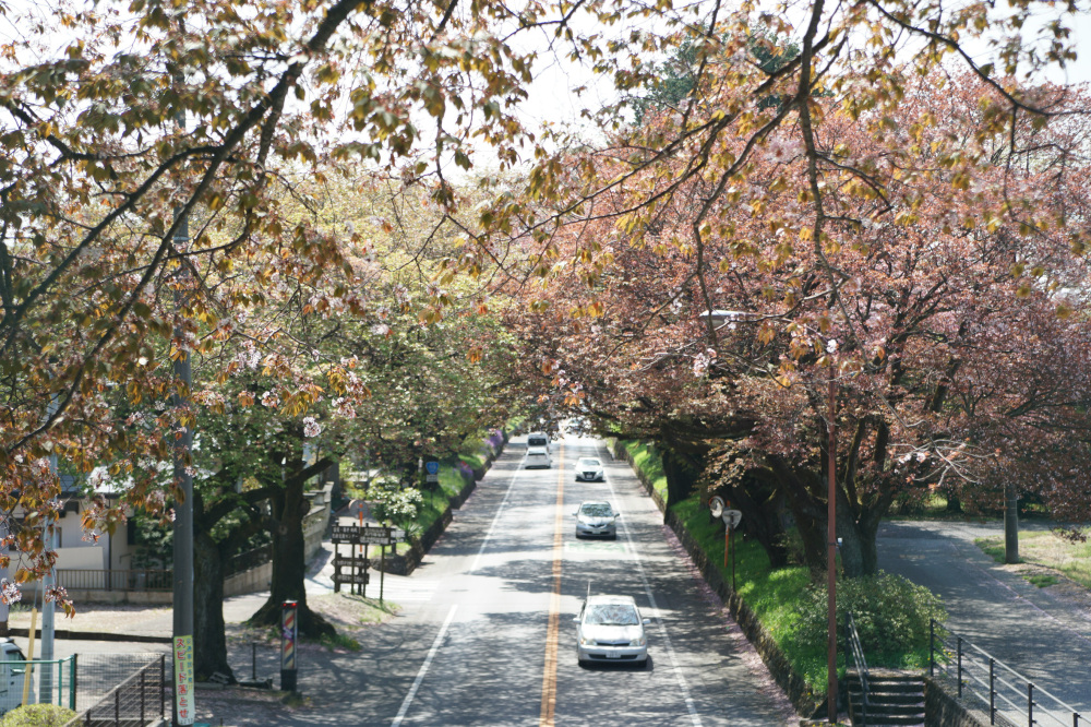 2019年4月22日（月）