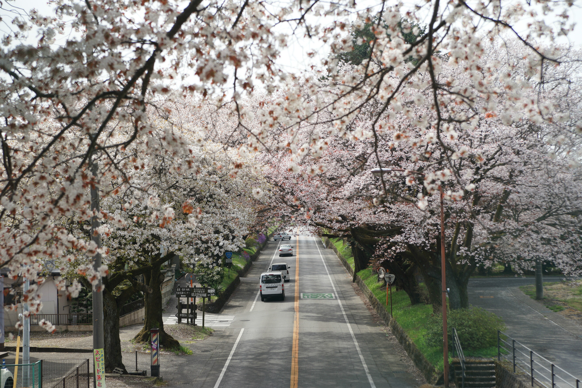 2019年4月17日(水)