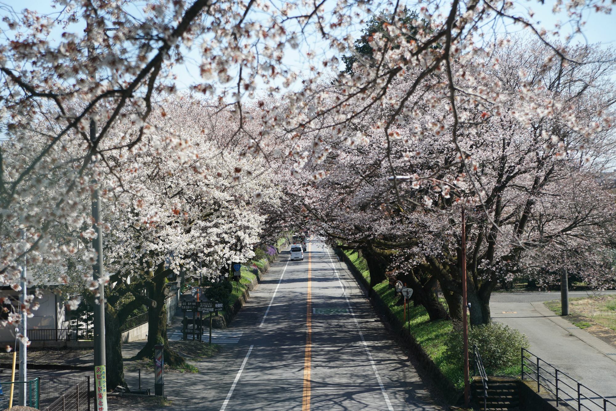 2019年4月15日(月)