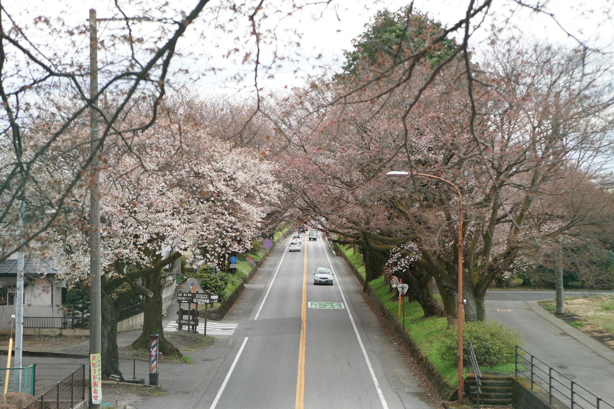 2019年4月11日(木)