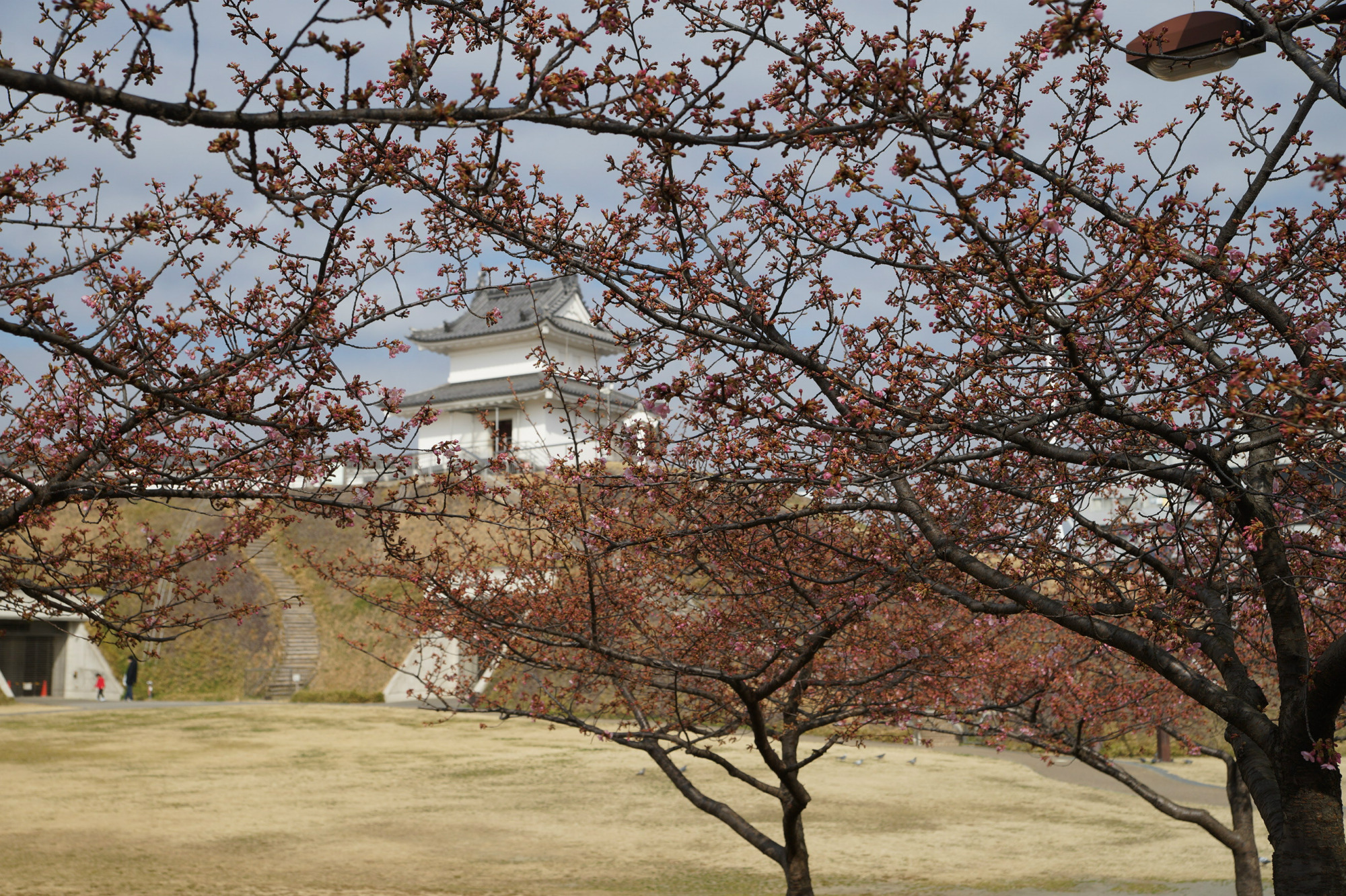 2020年2月29日(土)