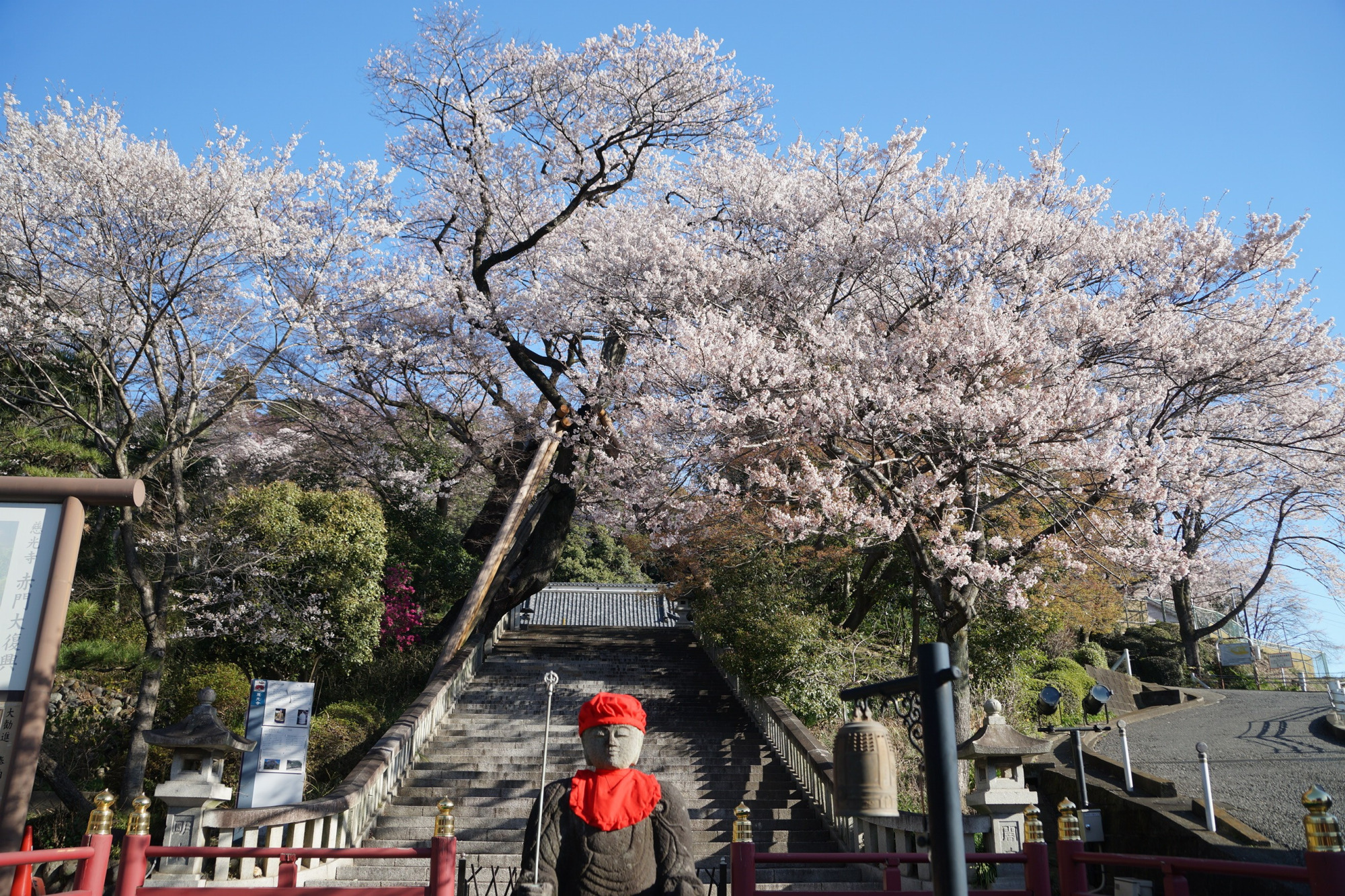 2020年3月25日(水)