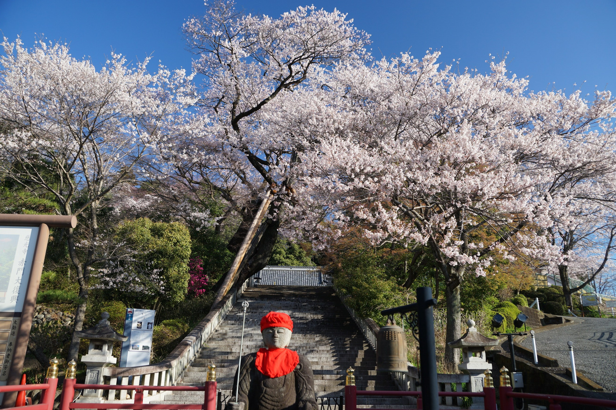 2020年3月24日(火)