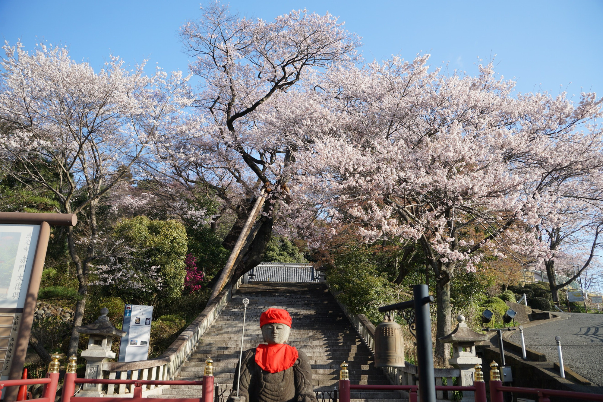 2020年3月23日(月)