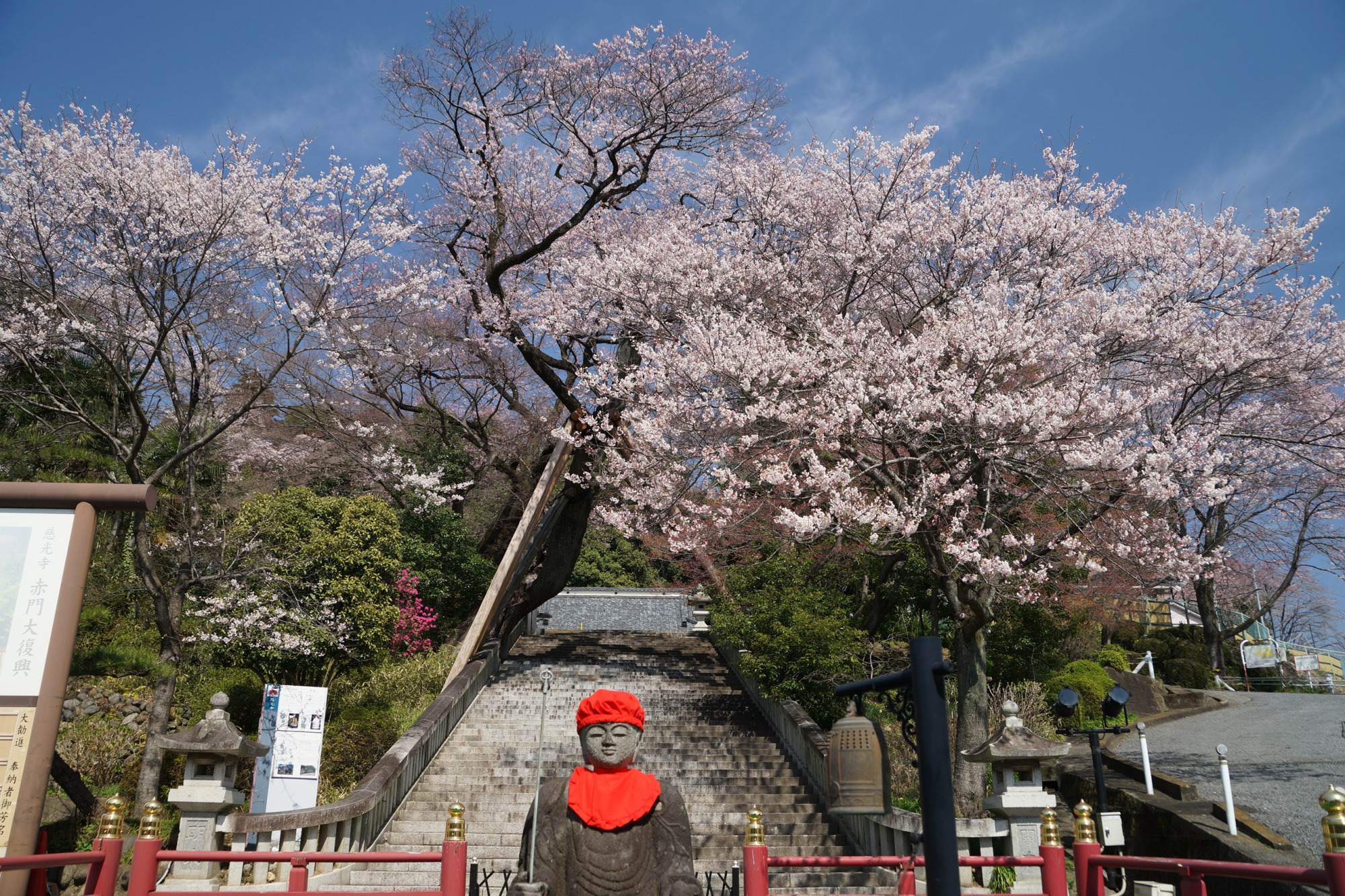 2020年3月21日(土)