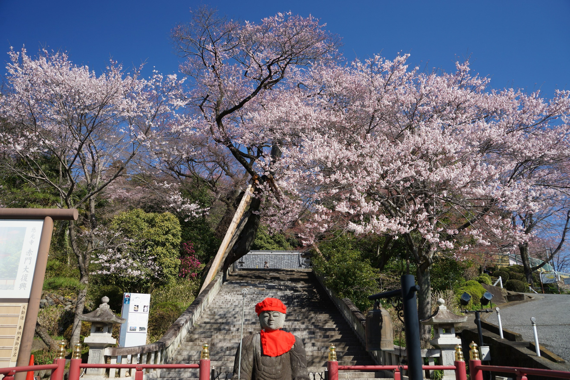 2020年3月20日(金)