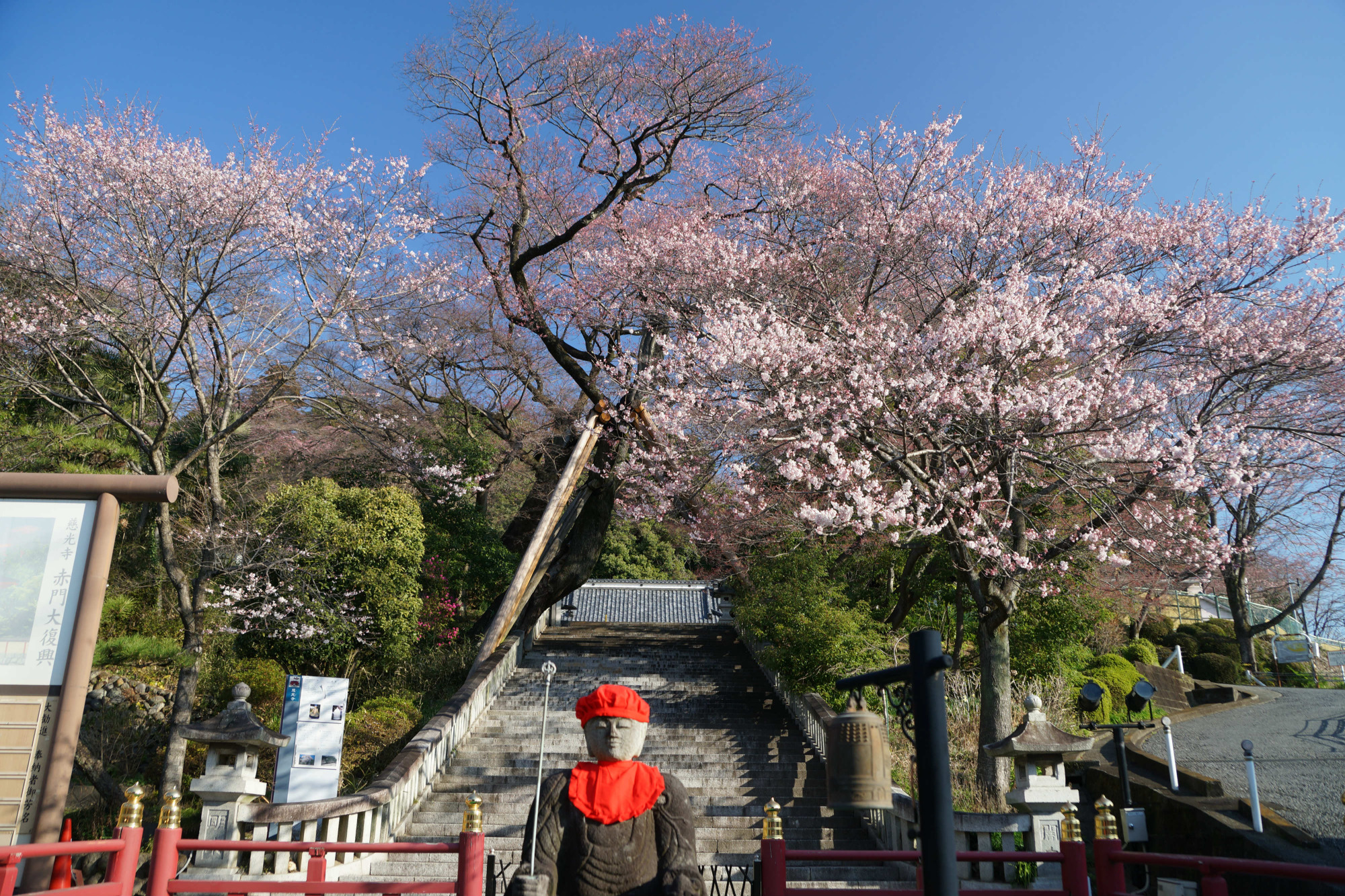 2020年3月19日(木)