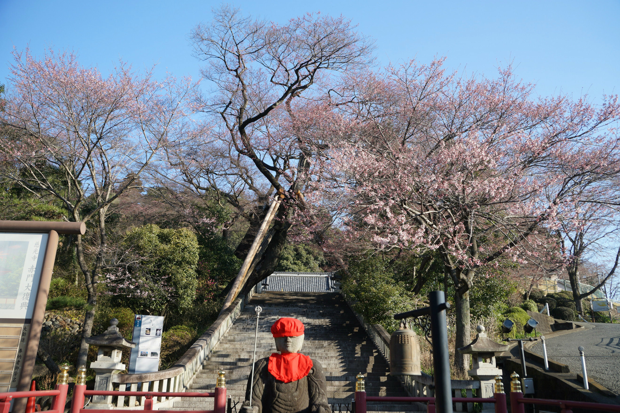 2020年3月18日(水)
