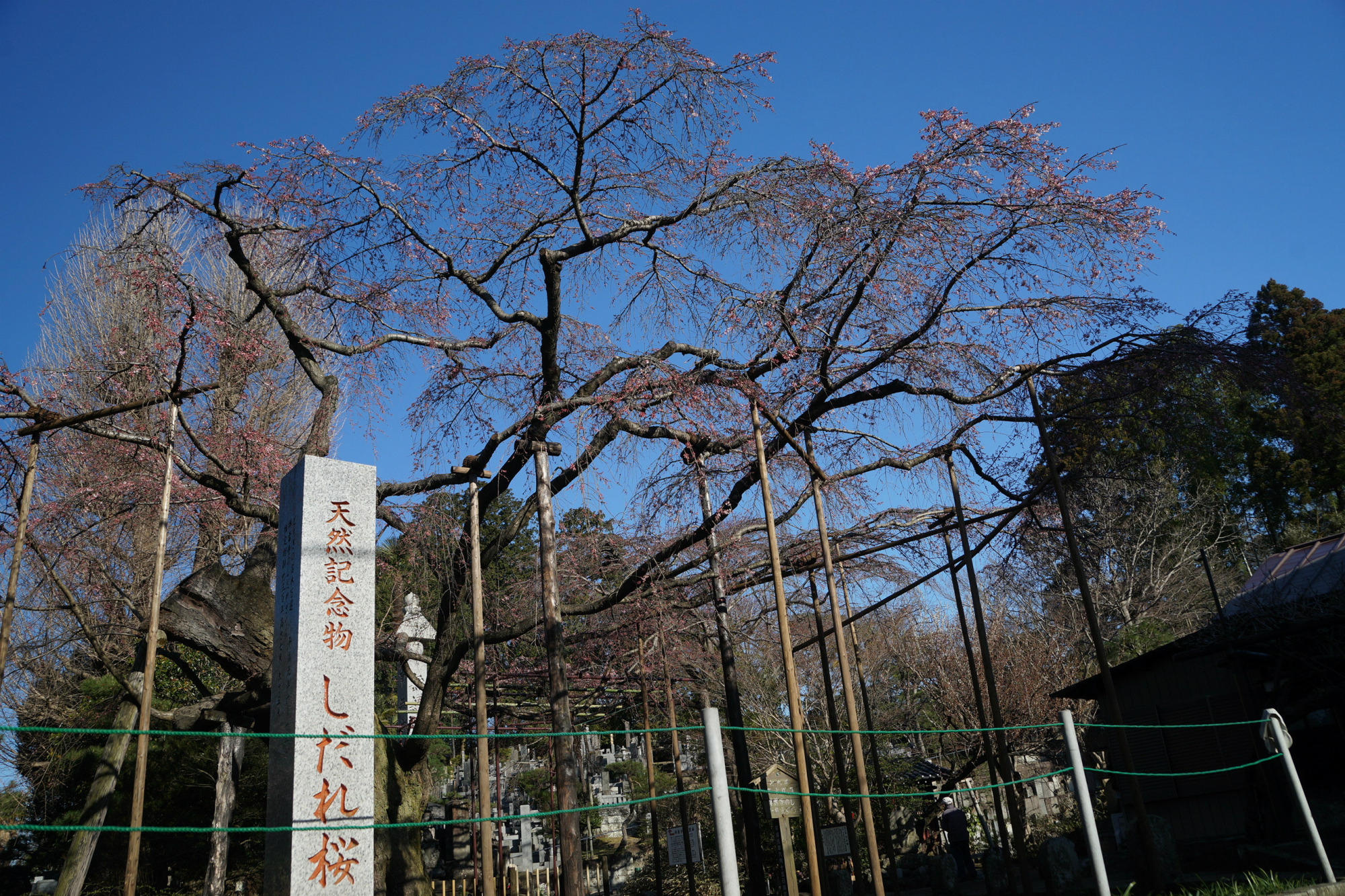 2020年3月17日(火)