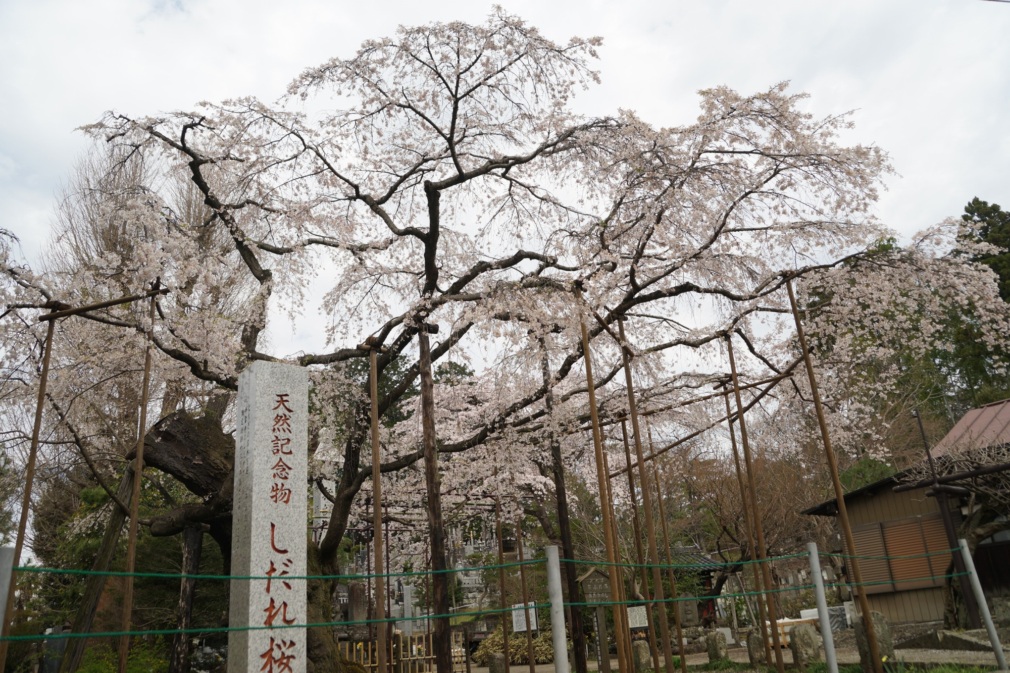 2020年3月28日(土)