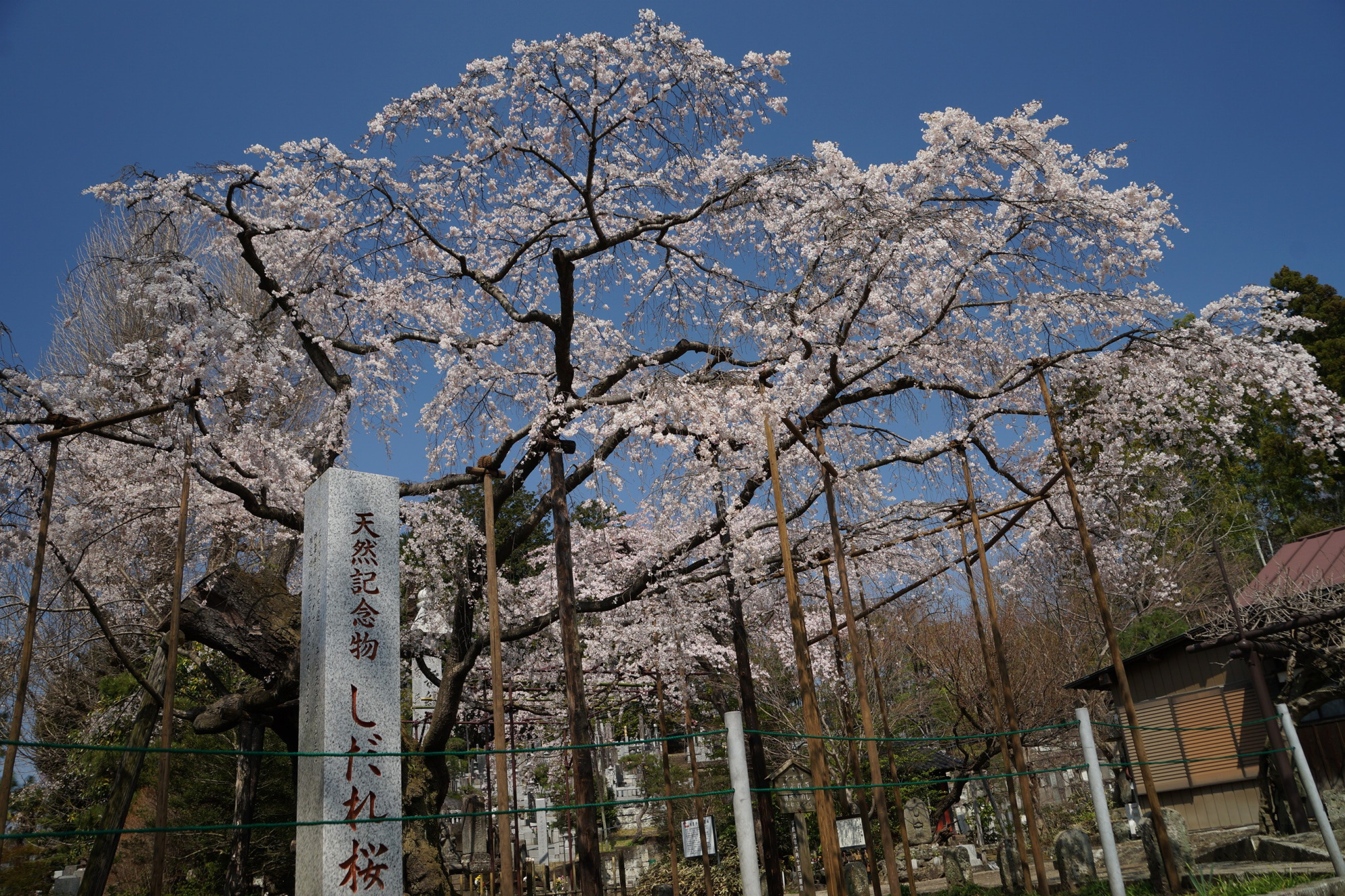 2020年3月26日(木)