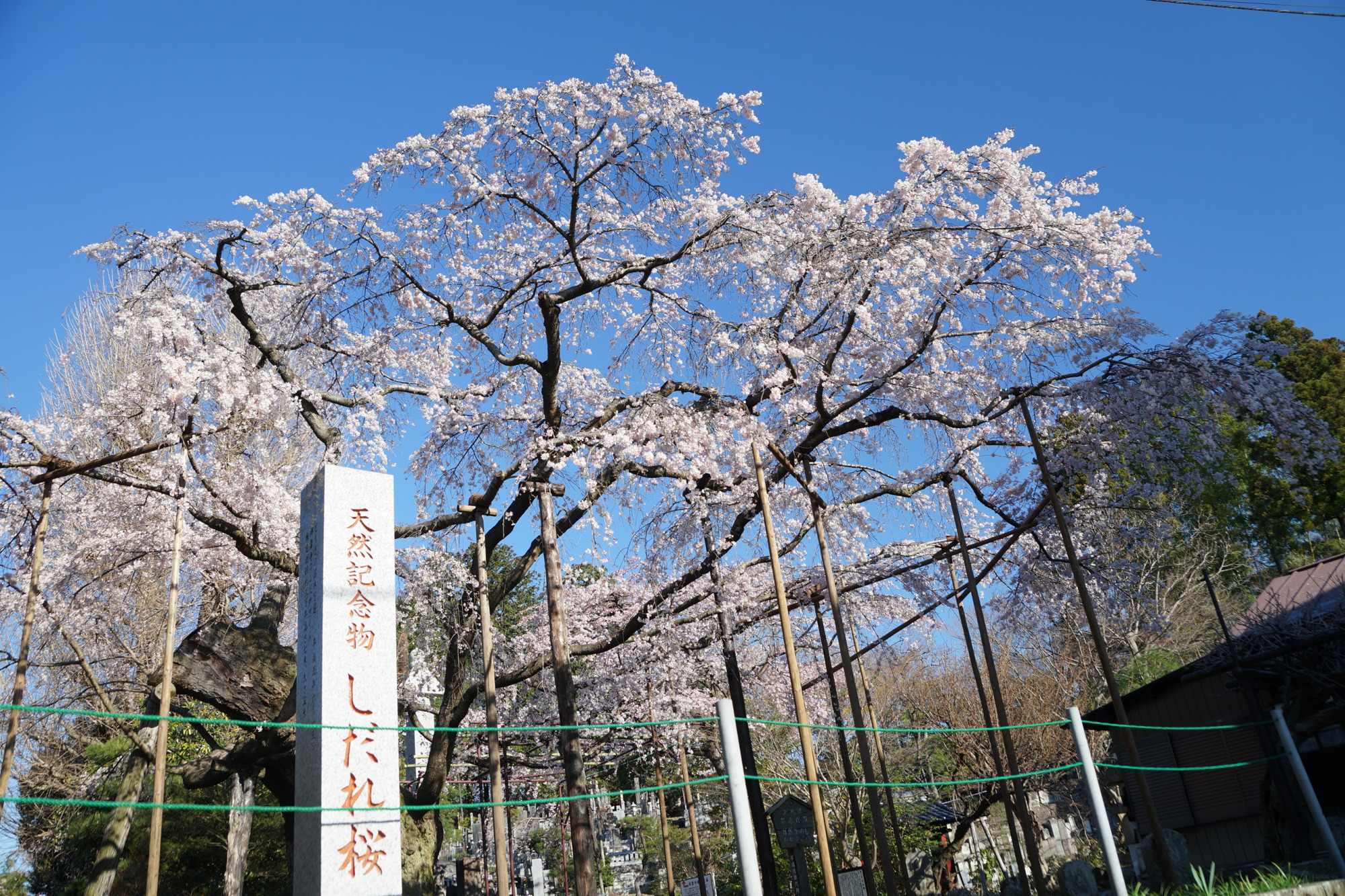 2020年3月24日(火)