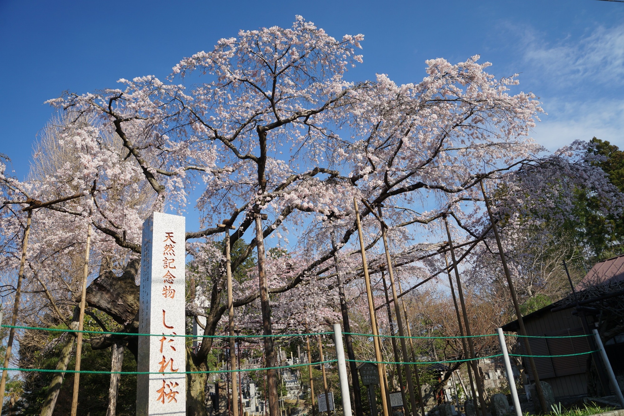 2020年3月23日(月)